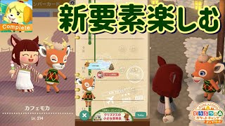 ポケ森コンプのあまり情報を知らない状態で新要素を探しながら楽しむ【どうぶつの森ポケットキャンプコンプリート】