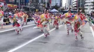 【天空しなと屋明星】東京よさこい2018(前夜祭)・アゼリア通り会場①