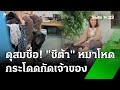 หมาบางแก้ว ขย้ำเจ้าของแขนเหวอะ | 21 ต.ค. 67 | ข่าวเย็นไทยรัฐ