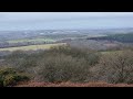 Big cat Sighting area on the edge of Dartmoor National Park