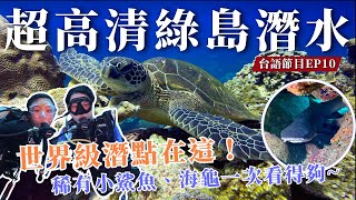 綠島潛水｜高清無流一潛五隻海龜陪伴！看到小鯊魚超驚豔～【台語旅遊節目EP.10】｜台灣實在媠 𨑨迌講台語