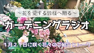 #48 ガーデンに咲く花々をご紹介しながらのひとり語りです。誕生花・最近のガーデニングリポート・メッセージのご紹介等。 #ガーデニング #ラジオ #gardening #flowers #radio