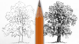 Jak narysować drzewo - RYSUJĘ I OPOWIADAM - krok po kroku