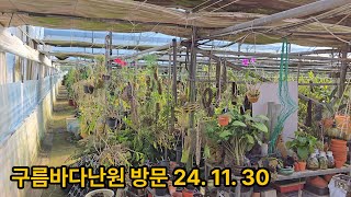 구름바다난원 방문 24. 11. 30