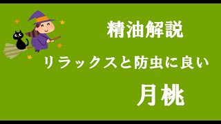 アロマおばさんの精油解説　月桃