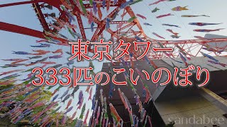 東京タワーセサミストリートも混じってる333匹のこいのぼり