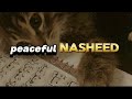 Bika Moulhimi ||peacefully Listening 🎧||beautiful Nasheed||Islamic Golden Knowledge