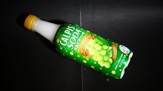 Japanese Drinks Review. / アサヒ飲料｢カルピスソーダ マスカット・オブ・アレキサンドリア｣飲んでみた。