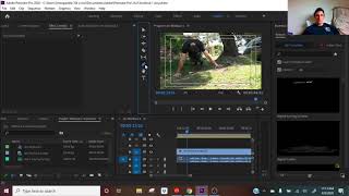 Adobe Premiere Pro 2020 Where is the Rectangle Tool or Ellipse Tool?