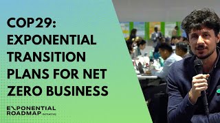 COP29: Exponential transition plans for net zero business