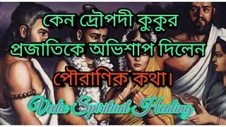 দ্রৌপদী কুকুরকে অভিশাপ দিয়েছিল কেন The Mahabharata Secret। Vedic Spiritual Healing