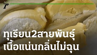 ชวนชิม ทุเรียน 2 สายพันธุ์ เนื้อแน่นกลิ่นไม่ฉุน | 19-05-65 | ตะลอนข่าว