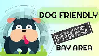 Dog Friendly Hikes Bay Area