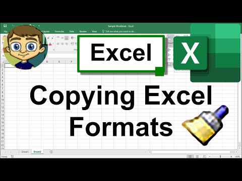 Copying Excel Formats: Format Painter & More