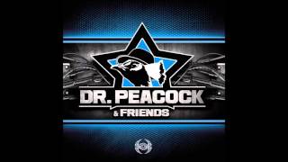 Dr. Peacock & Hyrule War - Nowhere to Run