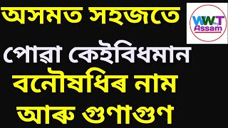 অসমত সহজতে পোৱা ২৫ বিধ বনৌষধি | এই বনৌষধিৰ নাম আৰু গুণাগুণ? Ep-05  WWT Assam.