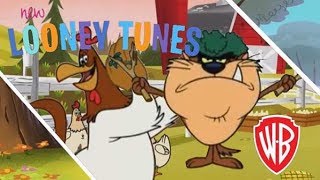 New Looney Tunes | Tasmanian Devil attempts