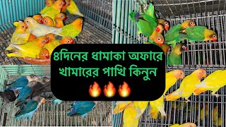 ৭ দিনের ধামাকা অফারে লোকালব্রিড পাখি কিনুন 🔥🔥🔥।সরাসরি খামারের পাখি কিনুন। লোকালব্রিড পাখির দাম।...🐥🐥