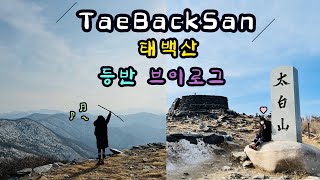 [🏔태백산(설산) 등산 브이로그] 태백산 | 눈❄️이 뽀독뽀독 | 태백산 정상 CCTV | 태백산 천제단 | 컵라면 먹방