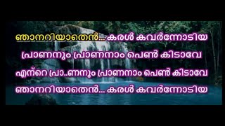 Njanariyathen Karal Karaoke With Lyrics    Umbayee   Malayalam Karaoke