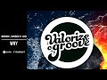 Doozie, VINCCE E LUO - Why (Original Mix) **OUT NOW**