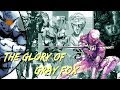 The Glory of Gray Fox