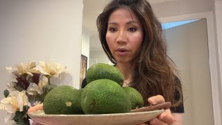 Reed Avocado Tasting + My Lamb Hass tree fruits get lots bigger 🌼🇦🇺(EP412)