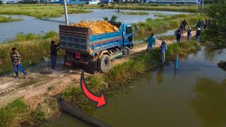 Beginning New Job! Dump Truck 5T unloading Soil Into Water, Bulldozer D20 In Action