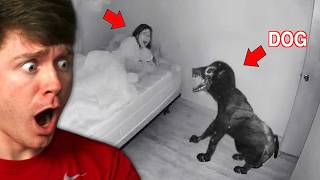 There's SOMETHING WRONG with HER DOG!? (Reaction)