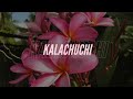 Kalachuchi by Munimuni lyrics