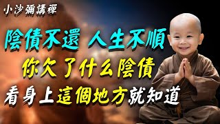 陰債不還，人生不順！想知道你欠下什麽陰債，看身上這個地方就知道！很多人後悔看晚了#小沙彌講禪 #佛教 #佛法 #阿弥陀佛 #南無阿彌陀佛 #菩薩 #佛學 #佛陀 #福報