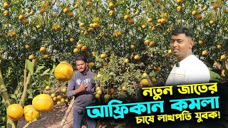 নতুন জাতের আফ্রিকান কমলা চাষে লাখপতি কৃষক | উদ্যোক্তার খোঁজে