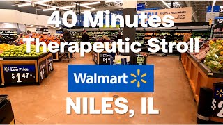 Walmart Niles Tour: 40-Min Escape from the Freezing Cold