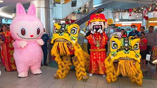 Lion Dance with Choy San Yeh and Rabbit