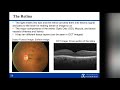 optical coherence tomography imaging analysis for retinal disease