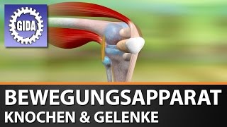 Trailer - Bewegungsapparat - Knochen \u0026 Gelenke - Biologie - Schulfilm