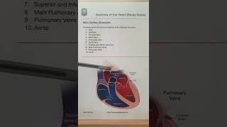 🔥 Anatomy in 60 SECONDS! [Heart Valves, Chambers, Great Vessels - Nursing Made Easy]