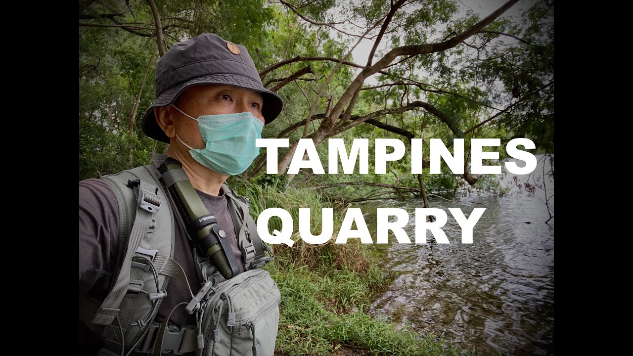 Solo Hike To Explore Tampines Quarry | Dead Man Found Last Month ...