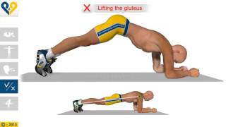 How to Plank   YouTube