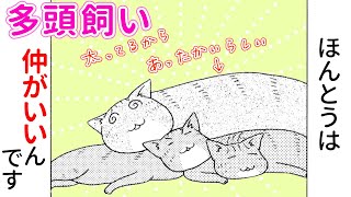 【漫画】喧嘩も多いけど3匹はとっても仲良し！猫の多頭飼いの日常♪『ゆかいな多猫ライフ　1-②話』│ペット宣言