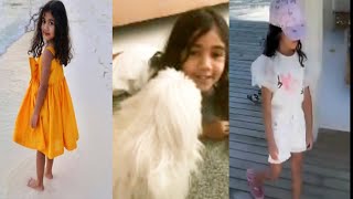 CUTE VIDEO: Allu arjun daughter Arha cute moments in Maldives | Sneha reddy | Tollywood Nagar | Ayan