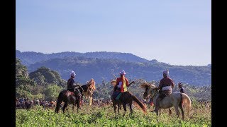 Festival Pasola, Sumba - Indonesia