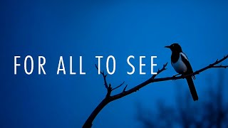 Erik Segel - For All To See (Visualizer)