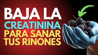 Los 10 Mejores Alimentos para Eliminar la Creatinina de Tu Cuerpo!