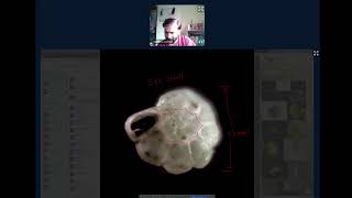MakerSpace Chatshaala: Microscopy - 3 Exploring Foldscope