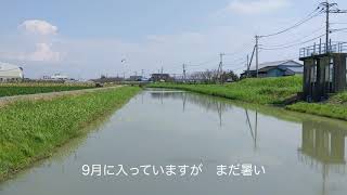 田園をはしる水路　佐賀県　20200910