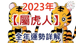 2023年屬虎人的全年運勢詳解