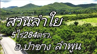 ที่ดินสวนลำใยEP702.สวนลำใย5ไร่284ตรว.ยกแปลง2.2ล้านต.นคร​เจดีย์​/อ.ป่าซาง​ลำ​พูน​