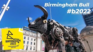 Bull in Birmingham Commonwealth Games 2022