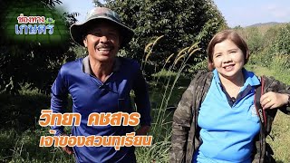 ช่องทางเกษตร EP.16 : สวนทุเรียน จ.ชุมพร ติดต่อเพิ่มเติม Line ID : \